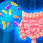 microbiota intestinal