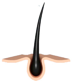 epigentest